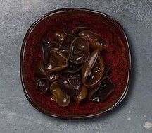 Древесные грибы