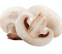 Грибы шампиньоны