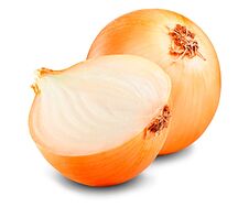 Лук репчатый