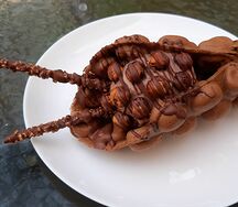 Вафля Шоколадное безумие