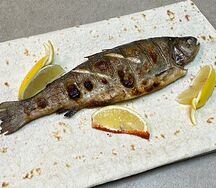 Форель на мангале