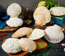 Морской гребешок с крабом и тунцом