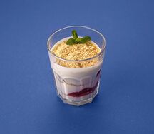 Домашний сметанник