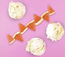 Мороженое ГрейпфрутКрим со вкусом грейпфрута