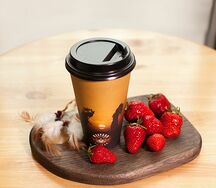 Вождь краснокожих