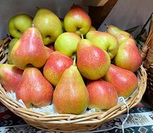 Груши Армянские