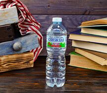 Вода Сенежская негазированная