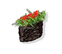 Гункан чука