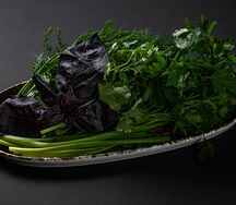 Ассорти из свежей зелени