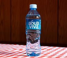 Минеральная вода Aqua Viva негазированная 