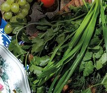 Ассорти ароматных трав