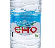 Питьевая вода Сно негазированная
