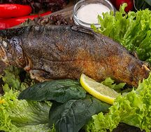 Рыба форель