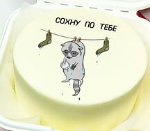 Бенто-торт с енотом и надписью Сохну по тебе в подарок любимому человеку