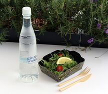 Ginza Water негазированная