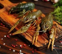 Раки Волжские