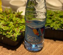 Вода Bona Aqua