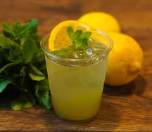 Домашний лимонад тархун-апельсин 