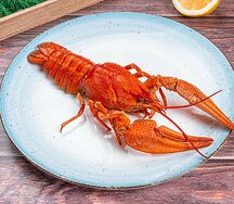 Донские раки №7