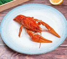 Донские раки №6