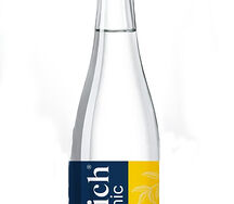 Rich Индиан Тоник