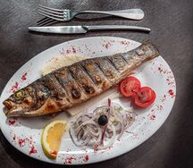 Сибас