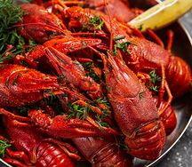 Раки-подростки M в ведре