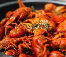 Раки отварные XL в ведре в рассоле