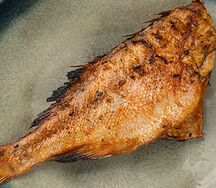 Морской окунь