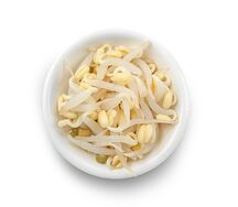 Ростки сои