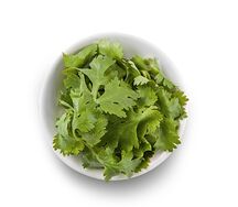 Кинза