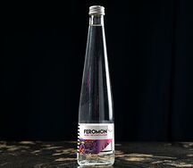 Вода негазированная Feromon