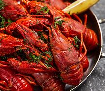 Раки вареные XL