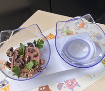 Хвостикам