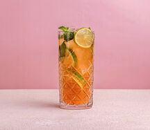 Домашний лимонад Мохито