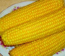 Кукуруза вареная