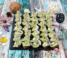 Канапе грин фиш