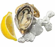 Устрица открытая Касабланка