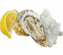 Устрица открытая Белый Жемчуг