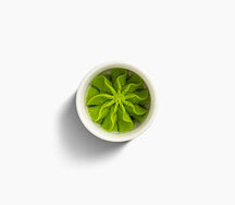 Васаби 30 гр