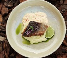 Треска с картофельно-кокосовым пюре и соусом кальвадос 