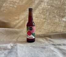 Комбуча-kocha Малина и мята