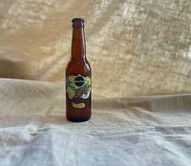 Комбуча-kocha Хмель citra