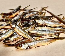 Корюшка ладожская холодного копчения