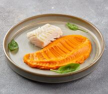 Конструктор с судаком