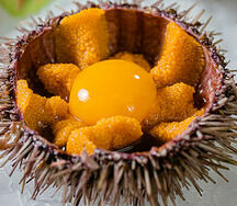 Морской Ёж
