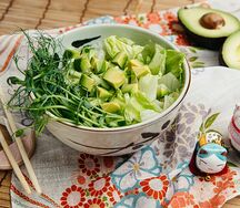 Мидори Сарада