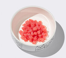 Тунец для котика