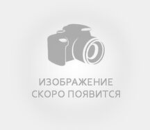 Бифштекс с луком и яйцом