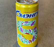 Сэлэнгэ